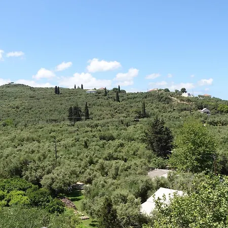 Lithari Penthouse Apartman *