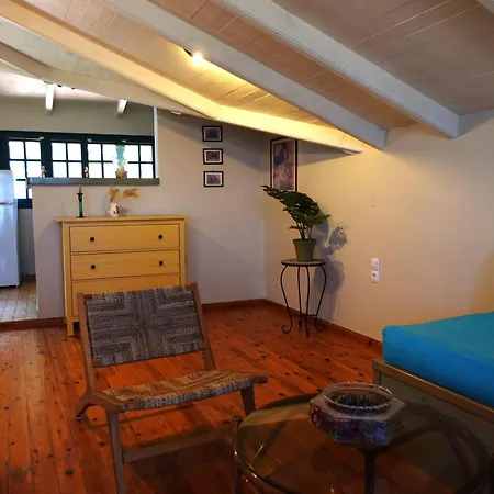 Lithari Penthouse * 阿利卡纳斯